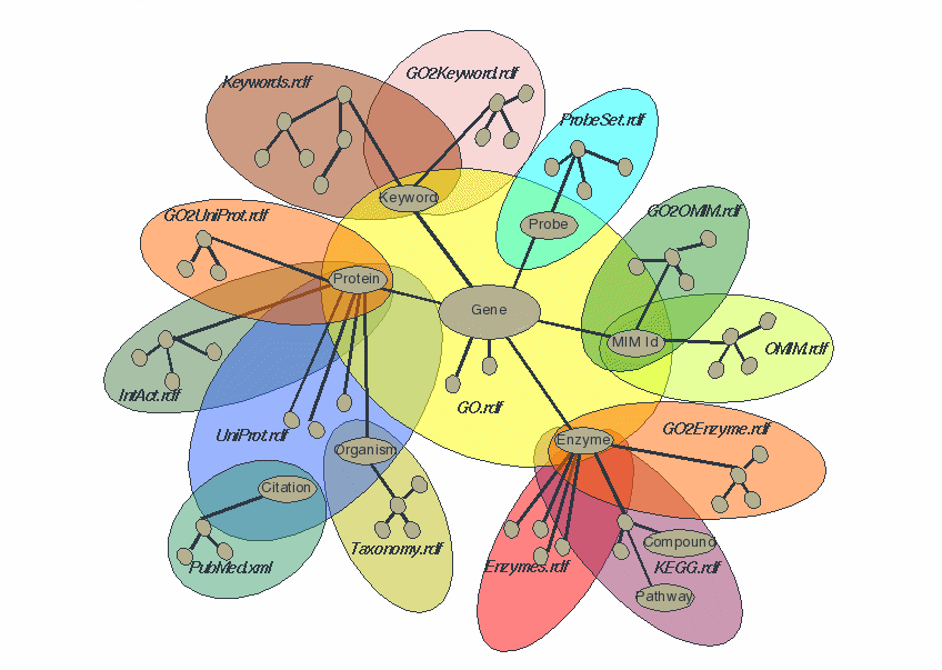 Venn diagram showing ontologies overlapping by certain common terms