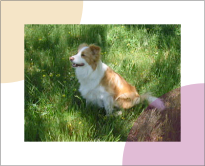 Example of the video element
partially obscured by regular SVG graphics