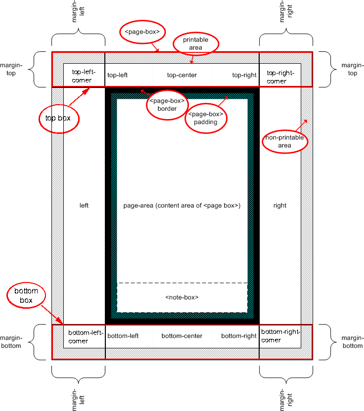 Schematic representation of page area model.