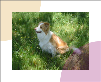 Rendering of media02.svg