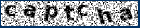 the letters 'captcha' difficult to read because skewed on complex background