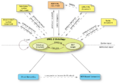 Thumbnail for version as of 08:35, 15 April 2009