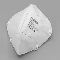 [photo of an FFP2
	  respirator]