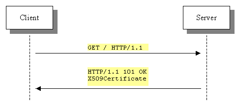 Tier 0 Protocol allows a <ds:Keyinfo> element to reference external data