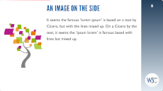 [Screendump of a slide with
the W3C style]