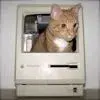 Desiree Garcia's profile picture