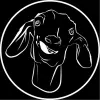 Seyit Aldemir's profile picture