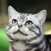 Gary Train's profile picture
